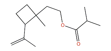 Fragranyl isobutyrate